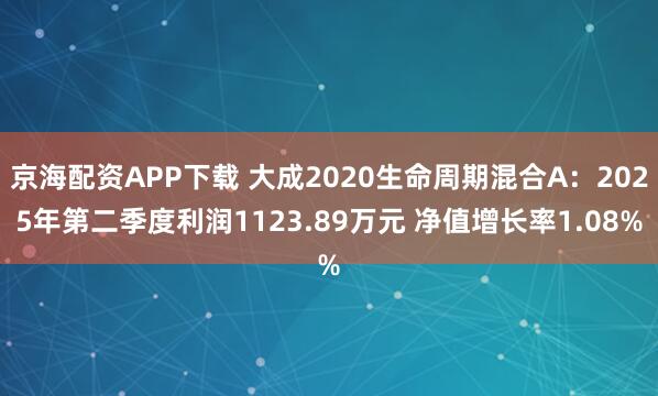 京海配资APP下载 大成2020生命周期混合A:2025年第二季度利润1123.89万元 净值增长率1.08%
