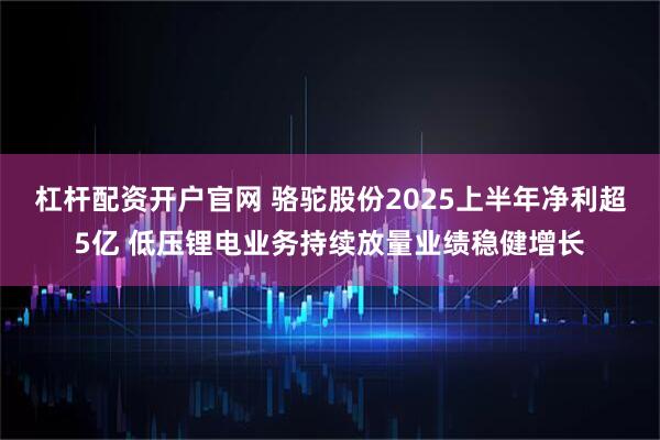 杠杆配资开户官网 骆驼股份2025上半年净利超5亿 低压锂电业务持续放量业绩稳健增长